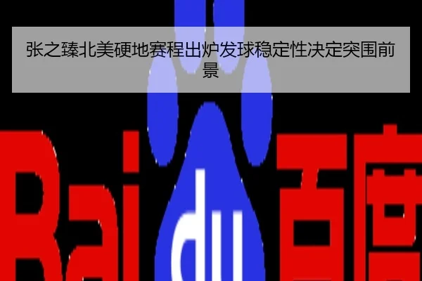 张之臻北美硬地赛程出炉发球稳定性决定突围前景