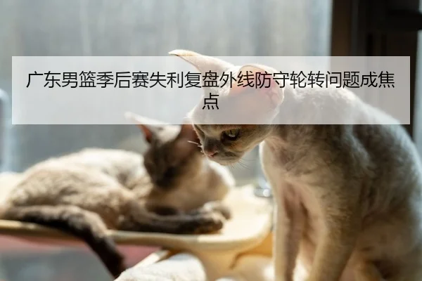 广东男篮季后赛失利复盘外线防守轮转问题成焦点